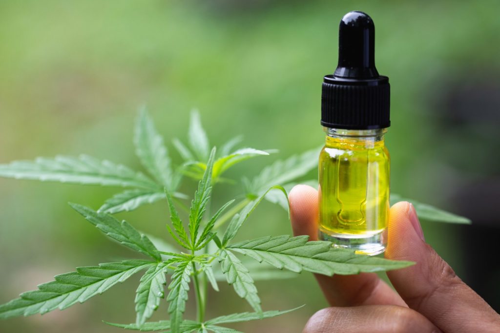 cannabis oil in farmacia