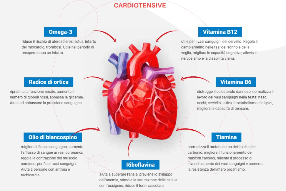 cardiotensive ingredienti