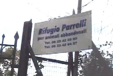 parrelli
