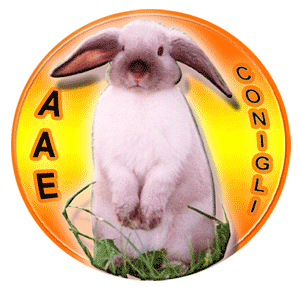 Adotta un coniglietto. Sostegno alla campagna adozioni di AAE-Conigli: per chi, come noi, non lo mangia!